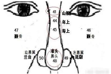 鼻孔下面有痣|左边鼻子下面有颗痣好不好 鼻子下面有颗痣代表什么意思